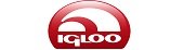 Igloo