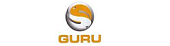 Guru